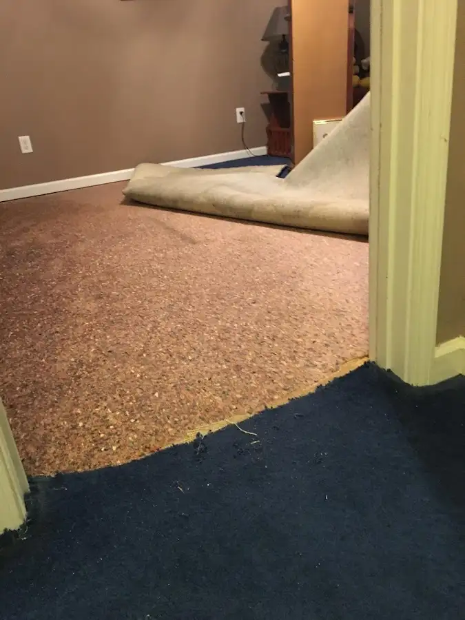 Carpet pad removal revealing water damage during Water Mitigation Services in Finley