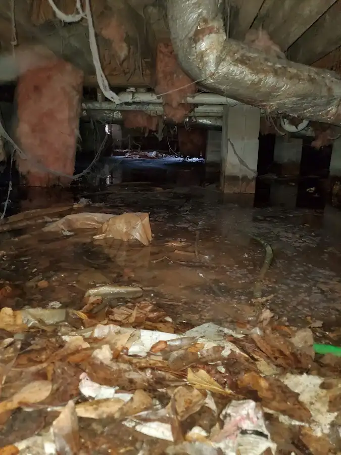 Crawl space flood assessment for Leak Detection & Repair in Finley